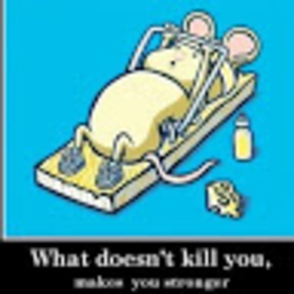 Meet your Posher, Jacob - Picture 1 of 1